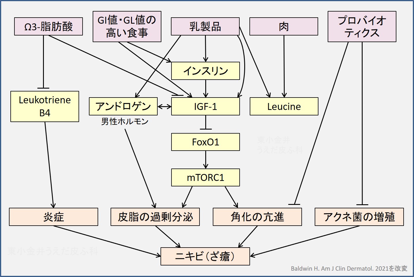 ざ瘡（ニキビ）の悪化因子